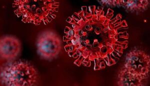 Rich results on Google SERP when searching for 'Punjab Government Lockdown'