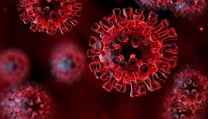 Rich results on Google SERP when searching for 'Punjab Government Lockdown'