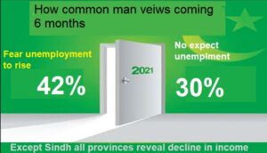 Rich results on Google SERP when searching for 'Pakistani Income in Covid-19'