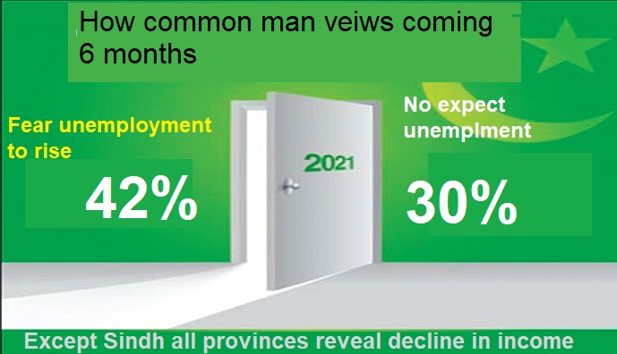 Rich results on Google SERP when searching for 'Pakistani Income in Covid-19'