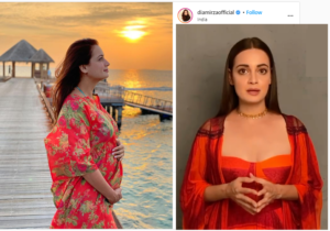 Rich results on Google SERP when searching for 'Dia Mirza'