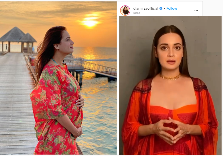 Rich results on Google SERP when searching for 'Dia Mirza'