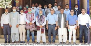 Khairpur University workshop on Mushroom