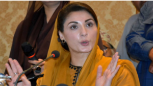 Rich results on Google SERP when searching for 'Maryam Nawaz '