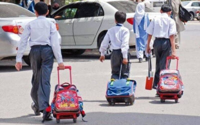 Rich result son google SERP when searching for 'Schools'