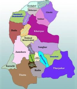 Rich results on Google SERP when searching for 'Covid19 in Sindh'