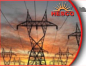 Rich result son google SERP when searching for 'Hesco'