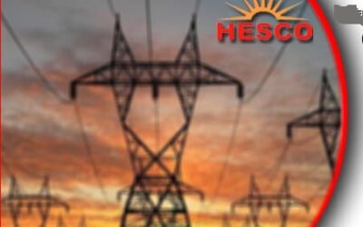 Rich result son google SERP when searching for 'Hesco'