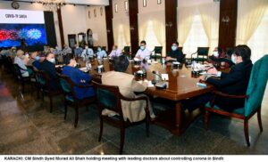 CM SIndh meeting doctors