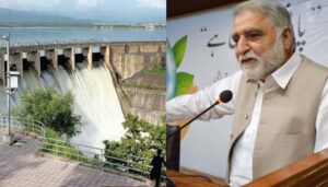 Punjab irrigation minister