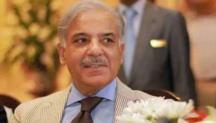 Rich result son google SERP when searching for 'Shehbaz Sharif'