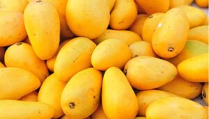 mango_Production