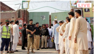 Rich result son google SERP when searching for 'AJK polling'