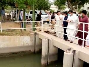 Rich result son google SERP when searching for 'Nasir Shah Hub pumping'