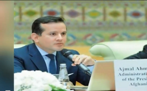 Rich result son google SERP when searching for 'Ajmal Ahmadi'