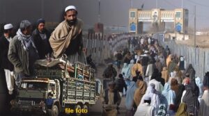 Rich result son google SERP when searching for 'Afghan refugees'