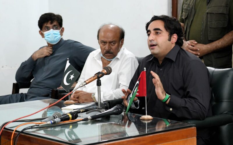 Rich result son google SERP when searching for 'Bilawal Kashmore'