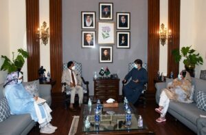 Rich result son google SERP when searching for 'CM meets WHO repp'