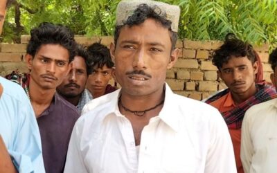 Rich result son google SERP when searching for 'Dodo bheel'