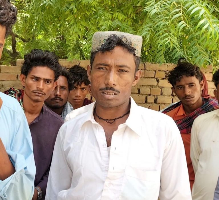 Rich result son google SERP when searching for 'Dodo bheel'