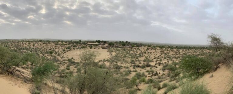 Rich result son google SERP when searching for 'Janjhi village'