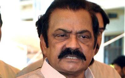 Rich result son google SERP when searching for 'Rana Sanaullah'
