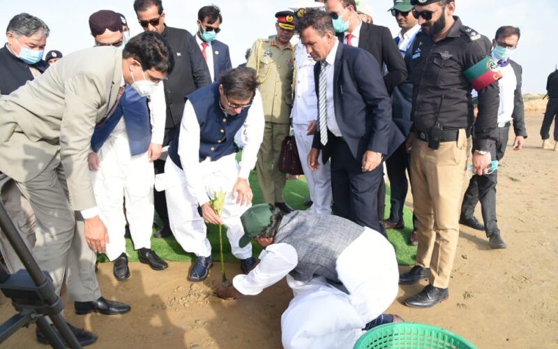 Rich result son google SERP when searching for 'Sonmiani beach Lasbela'