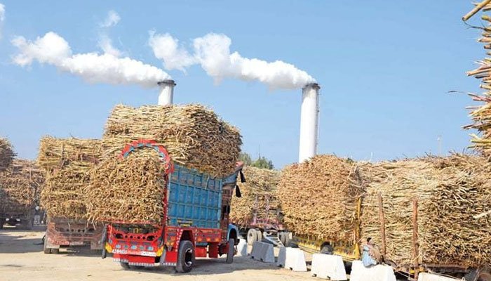 Rich result son google SERP when searching for 'Sugar Mill'