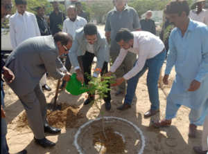 Rich result son google SERP when searching for 'Taimur Talppur'