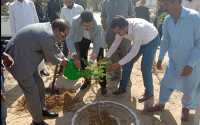 Rich result son google SERP when searching for 'Taimur Talppur'