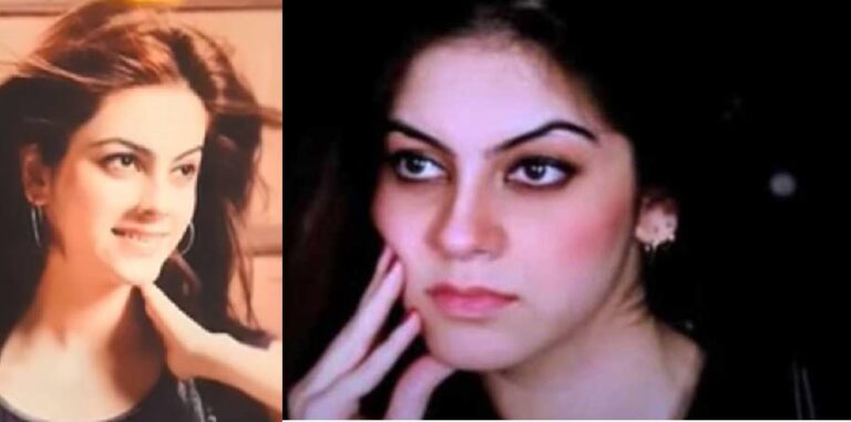 Rich result son google SERP when searching for 'Model Nayab'