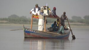 Rich result son google SERP when searching for 'Indus Dolphin'