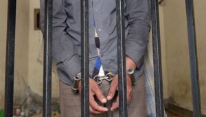 Rich result son google SERP when searching for 'Arrest'