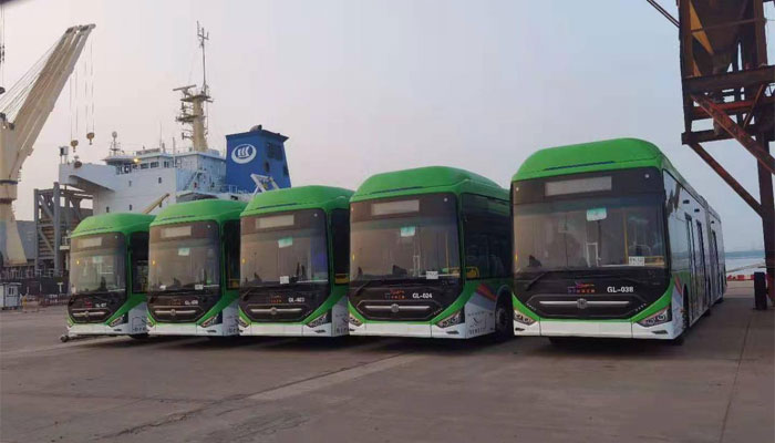 Rich result son google SERP when searching for 'Green-line bus'