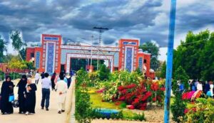 Rich result son google SERP when searching for 'Shah Abdul Latif university'