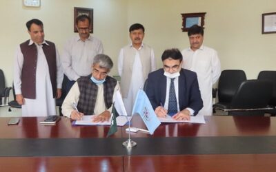 Rich result son google SERP when searching for 'Latif University'