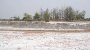 Rich result son google SERP when searching for 'Salinity'