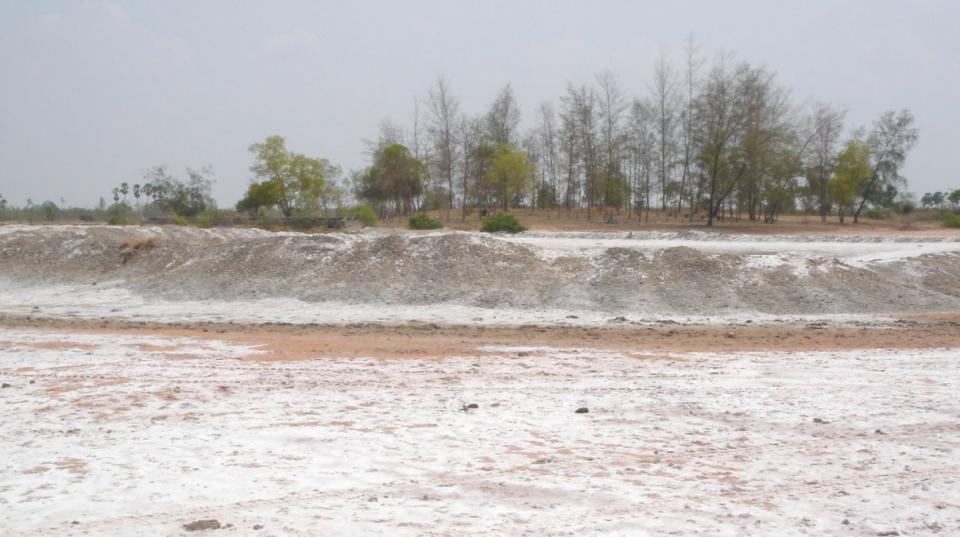 Rich result son google SERP when searching for 'Salinity'