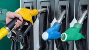 Rich result son google SERP when searching for 'Petroleum '