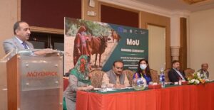 Rich result son google SERP when searching for 'RDF'