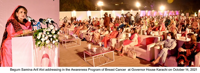 Rich result son google SERP when searching for 'Samina Arif Alvi'