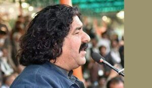 Rich result son google SERP when searching for 'Ali Wazir'