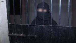 Rich result son google SERP when searching for 'KMC officer'