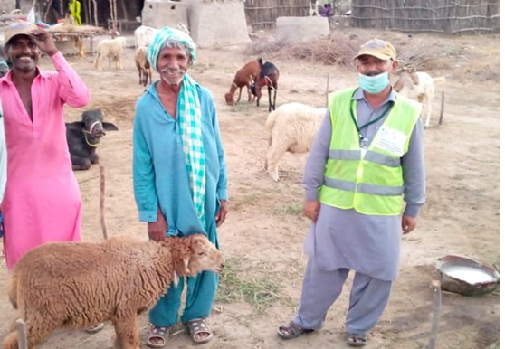 Rich result son google SERP when searching for 'Livestock'