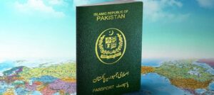 Rich result son google SERP when searching for 'Overseas Pakistanis'