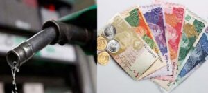 Rich result son google SERP when searching for 'Petrol prices'