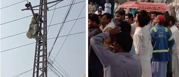 Rich result son google SERP when searching for 'high voltage'