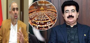 Rich result son google SERP when searching for 'Sanjrani -Asd Qaisar'