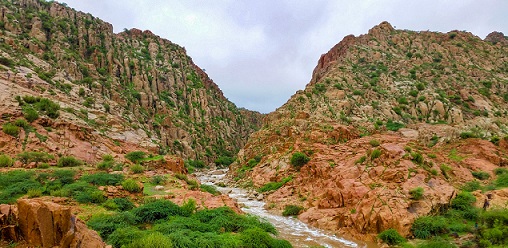 Rich result son google SERP when searching for 'Karoonjhar - Outcome'