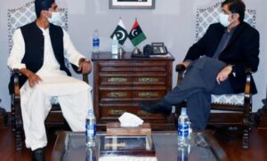 Rich result son google SERP when searching for 'Dahani'